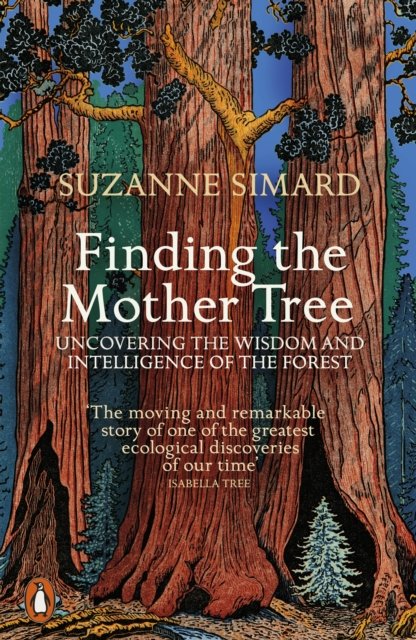 Finding the Mother Tree by Suzanne Simard - Book club seasonal read for the Autumn Equinox
